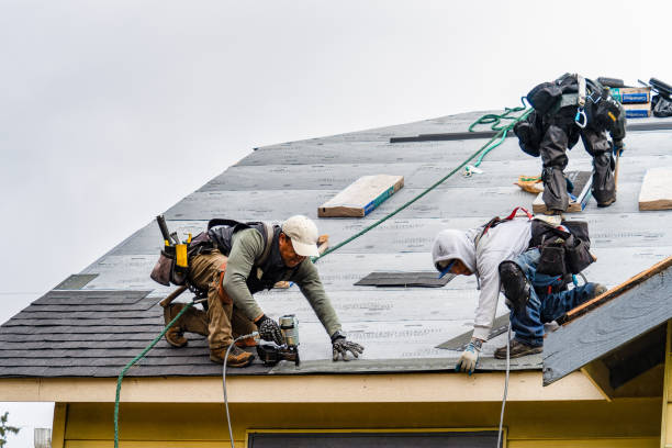 Professional Roofing technician working in Camano Island, WA